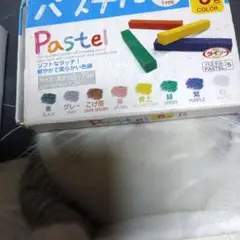 Item thumbnail for item 9b10ebe9-94ae-4c88-afe5-c382d11c8113