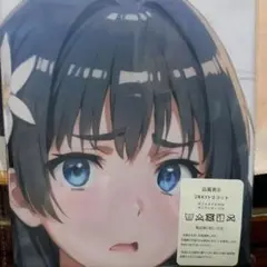 2025年最新】佐天涙子 抱き枕カバーの人気アイテム - メルカリ