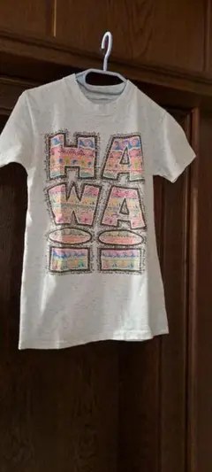 Hawaiiで購入 Hawaii Tシャツ サイズ160～170 Sサイズ