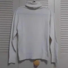 Item thumbnail for item 0720ed07-1448-4d01-ad28-9480f5b77d50