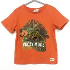 230 H&M 半袖　Tシャツ オレンジ　カメレオン