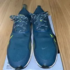 NIKE AIR ZM PEGASUS 37 SHIELD