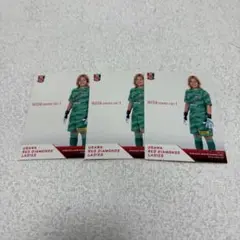 Item thumbnail for item cd9cfe2f-64d1-4164-bc22-0d35fb8abeee