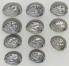 Item thumbnail for item 0b3509b1-7f56-4141-9143-637d85484064