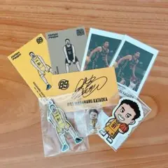 Item thumbnail for item 1c46cdef-a8a7-44e4-b4b0-ec10199d18b0