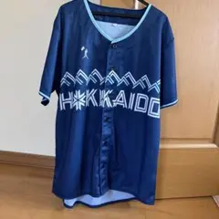 日ハムファイターズ【WE LOVE HOKKAIDO 2025】ユニフォーム