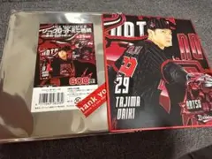 オリックス 夏の陣 シークレットミニ色紙 田嶋大樹投手