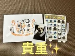 Item thumbnail for item 8b36c5b2-4f40-4664-ad22-8df8a72bbe99