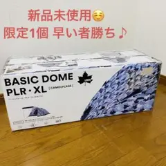 【未使用】LOGOSロゴス BASIC DOME(カモフラ) テント