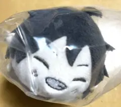 ハイキュー ‼︎ もちもちマスコット　WA 山口忠