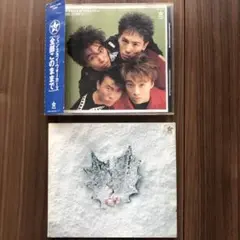 邦楽CD ジュンスカイウォーカーズ JUN SKY WALKER(S) セット