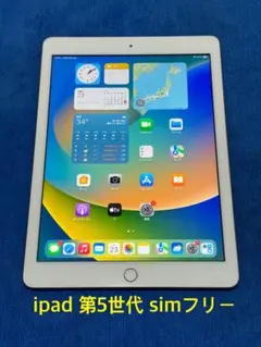 iPad 第5世代 simフリー 32GB ゴールド19