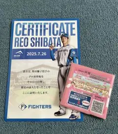 北海道日本ハムファイターズ　ドラ1柴田獅子プロ初登板記念証明書　桜姫バルーン付