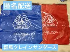 群馬クレインサンダース　イオン 太田　コラボ エコバッグ