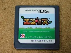 ｒ★ＤＳ★エコリス（ソフトのみ）☆送料込み☆