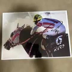 オケマル　2025兵庫優駿 （園田競馬）A4写真