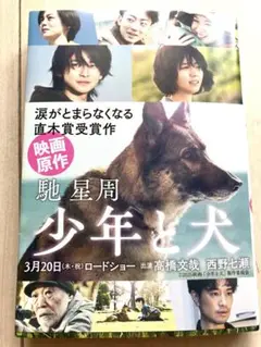【直木賞受賞作・映画原作】少年と犬 駒星周著文春文庫2025年2月15日第12刷