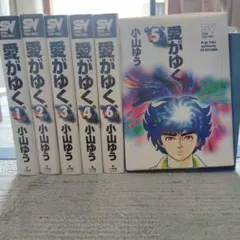 愛がゆく 全6巻セット 小山ゆう