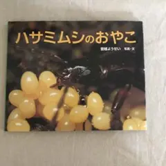 ハサミムシのおやこ