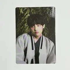 BTS ダルマジュン　2022 ミニフォト　V