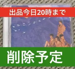 ★出品今日まで★　動作確認済み　即購入可　値下げ不可　ZELDA　空色帽子の日
