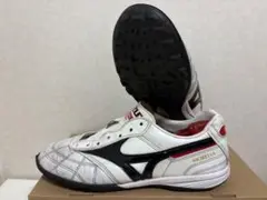 MORELIA TF