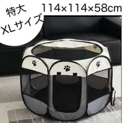 Item thumbnail for item 45f929d8-7124-408d-9efe-28e45ea478be