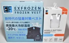 Item thumbnail for item 877e00fa-2165-4e17-986e-d0ea6cfece1f