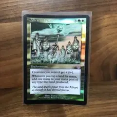 【Foil】ミラーリの目覚め 英語 MTG