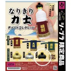 Item thumbnail for item 1f4d3ec7-1bfc-45bd-8c10-47be82857fa3