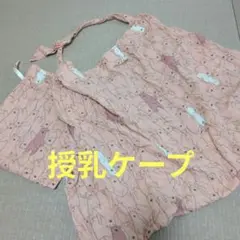 Item thumbnail for item 2c42179c-a24e-4643-be46-2926c8df7475