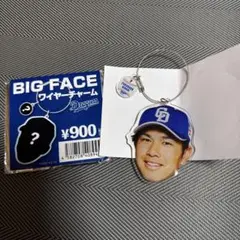 Item thumbnail for item f2a2cfe8-bb5b-43cf-afdf-006095ac1b0b