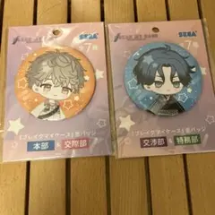 【ブレイクマイケース】缶バッジ２種セット