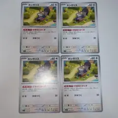 ホシガリス 4枚