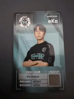 VCJ Season Finals LOB プレイヤーカード