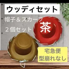 Item thumbnail for item 6fc6947a-29ee-4ba2-a813-3ef7afc98b7e