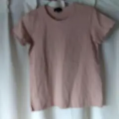 theory ピンク　薄茶　 半袖Tシャツ S
