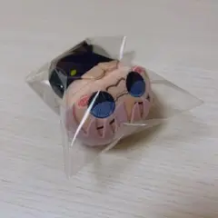 おひるねこ　五条悟