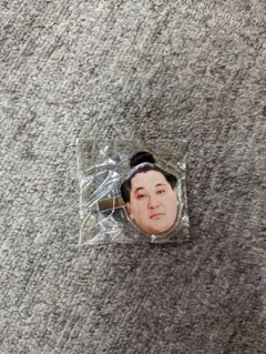 相撲力士 狼雅　ヘアピン