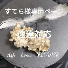 すてら様専用ページ