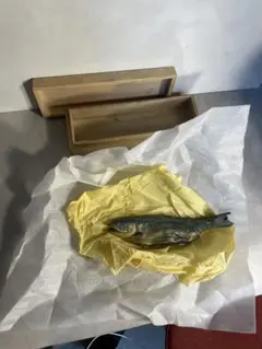 Item thumbnail for item 7bae9ddd-0e11-459e-8010-34fd24cb0e74