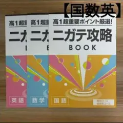 国語/数学/英語 高１[セ]ニガテ攻略 超重要ポイント厳選！3冊セット