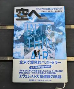 空へ エヴェレストの悲劇はなぜ起きたか