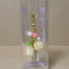 【レア】ナナコプラス 菓子形アクセサリー [ 虹色飴+金平糖 ] キーホルダー
