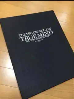 THE YELLOW MONKEY TRUE MIND イエモン 写真集 VHS