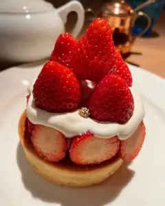 mary様専用