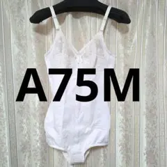 Item thumbnail for item dc9e821e-98de-41bf-bc9e-4c241899cefb