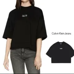 Calvin KleinJeans シルバーロゴスウェット 5分袖オーバーサイズ