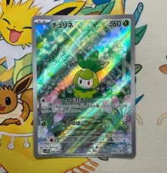 【傷あり】チュリネ SV11B 091-086 AR ブラックボルト