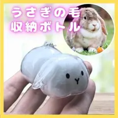Item thumbnail for item 897ef066-cb25-4d8d-ae98-120d7277ded6